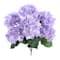 Purple Hydrangea Bush by Ashland®